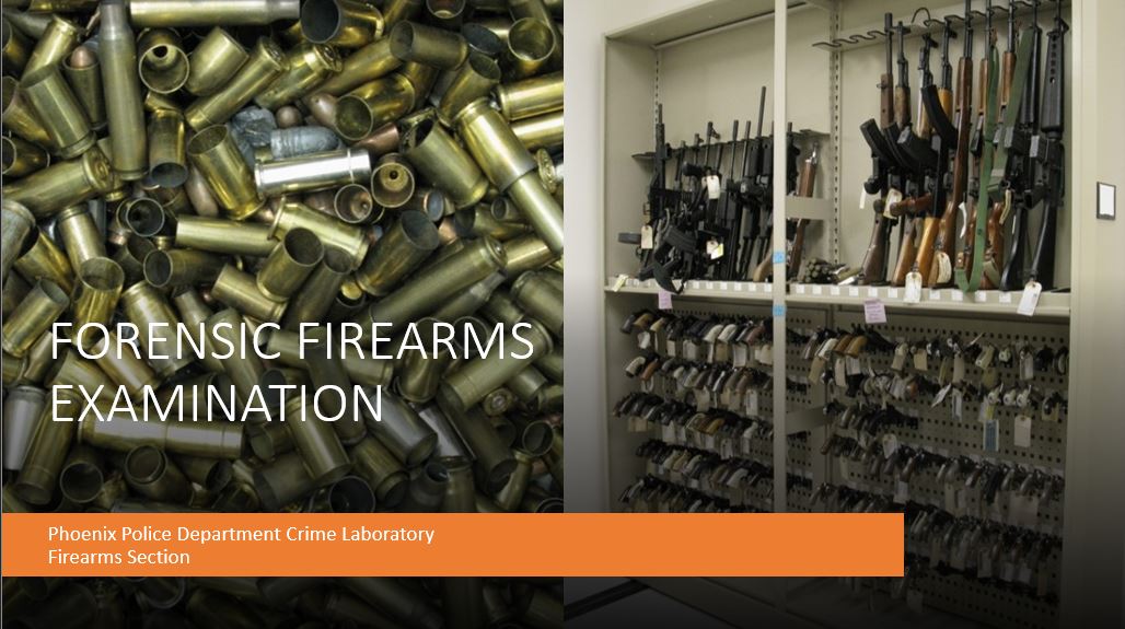 All courses PPD Training Bureau